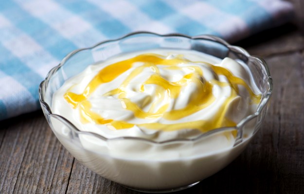 Greek Yogurt | Best Energy Pumping Pre-Workout Snacks