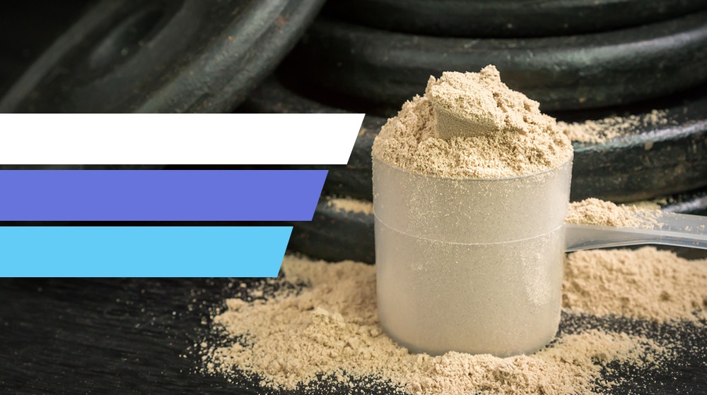 Feature | What Is Whey Protein And Why Is It Important? | whey powder
